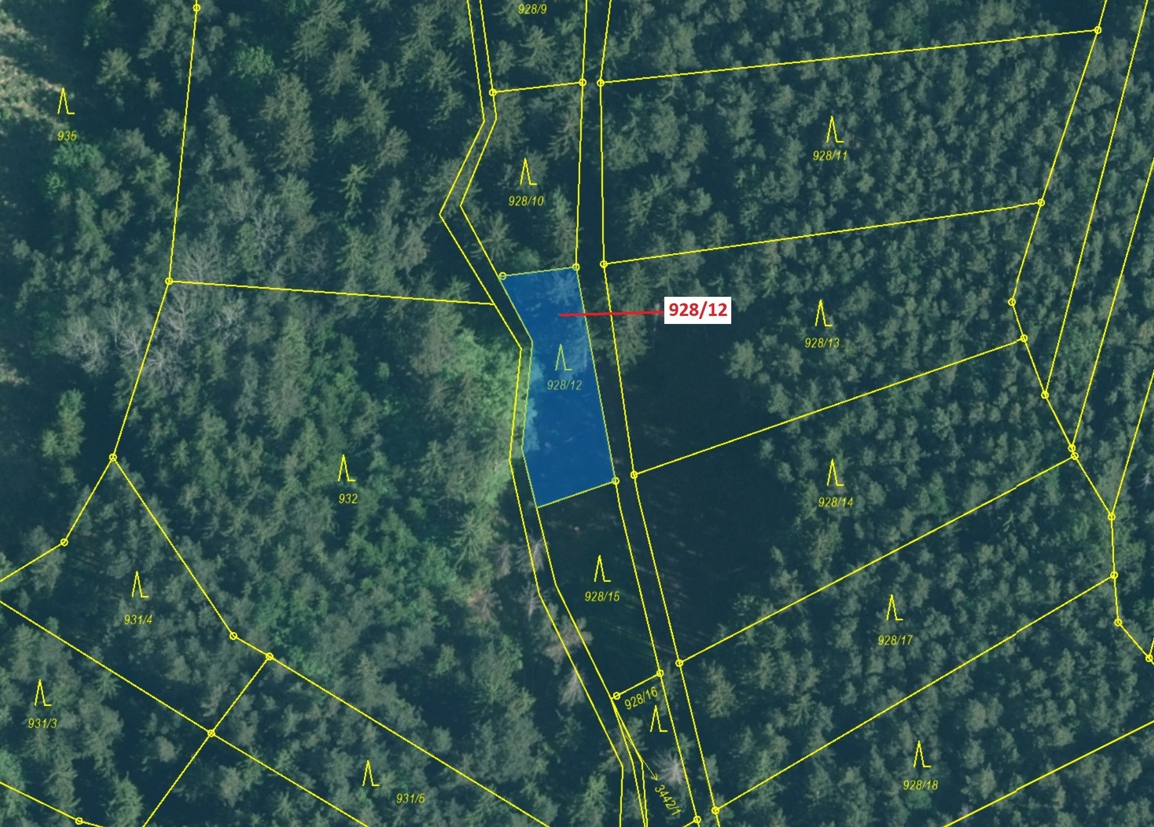 Lesní pozemek o výměře 418 m2, podíl 1/1, katastrální území Hosty, obec Hosty, obec s rozšířenou půs