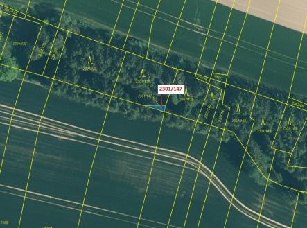 Prodej - pozemek, les, 19 m²