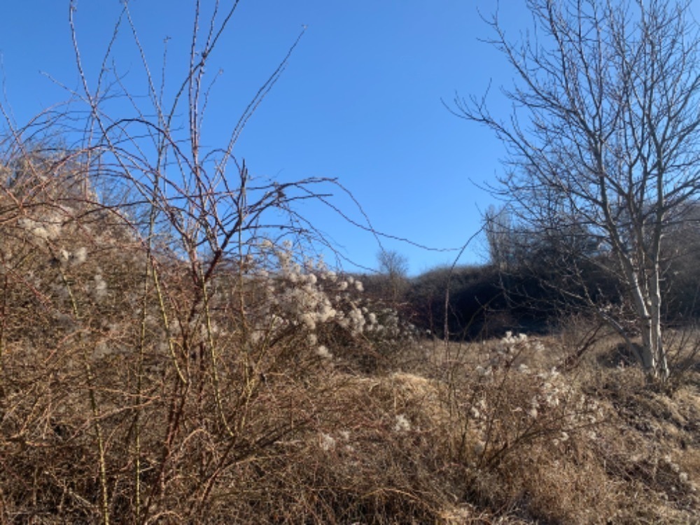 Pozemek o velikosti 1631m2, Brandýs nad Labem, opakovaná dražba