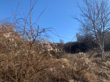 Prodej - pozemek, ostatní, 1 631 m²