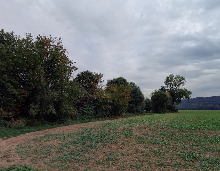 Pozemky o velikosti 10110m2, Semily