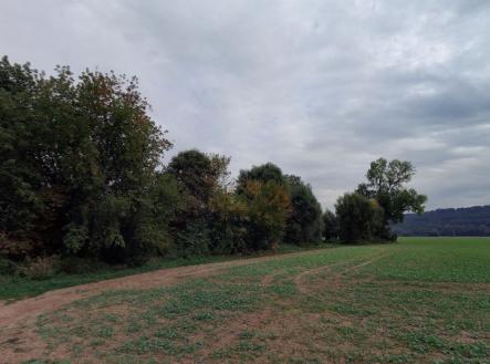 Prodej - pozemek, les, 10 110 m²