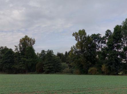 Prodej - pozemek, les, 10 110 m²