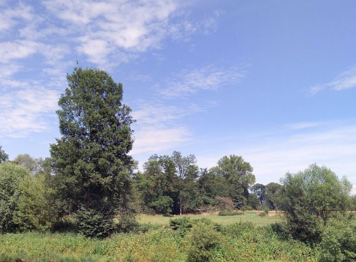 Pozemky o velikosti 10110m2, Semily