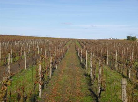 Prodej - pozemek, ostatní, 1 672 m²