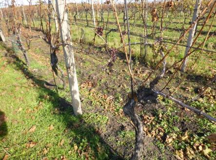 Prodej - pozemek, ostatní, 1 672 m²