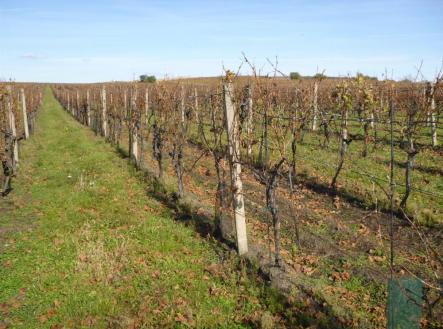 Prodej - pozemek, ostatní, 1 672 m²