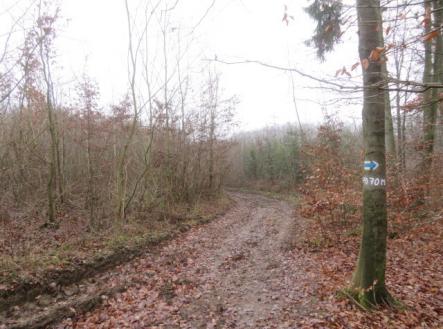 Prodej - pozemek, zemědělská půda, 2 164 m²