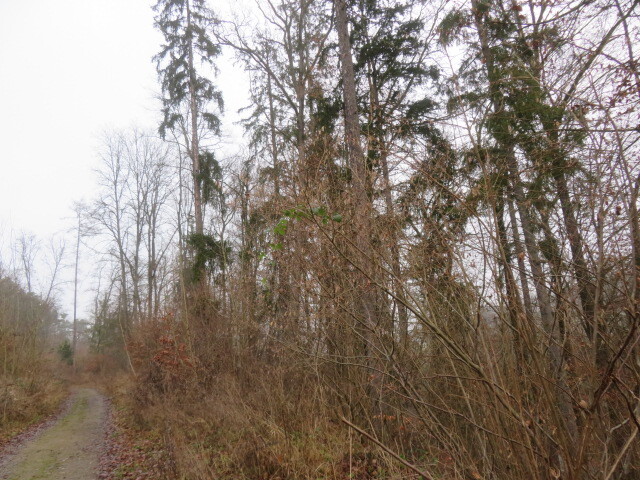 Pozemek o velikosti 707167m2, Kostelec u Zlína, podíl 1/72