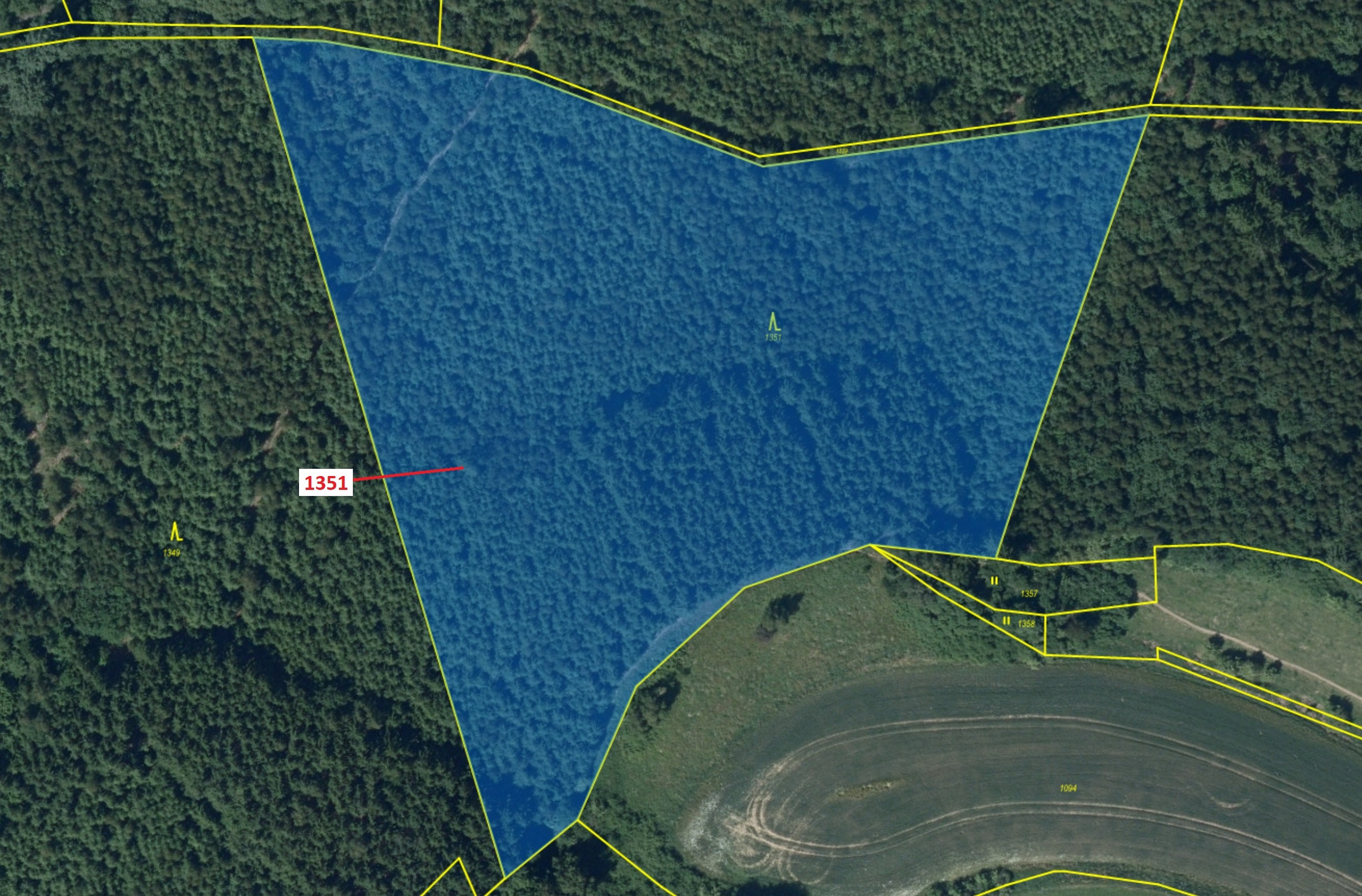 Lesní pozemek o výměře 22 508 m2, podíl 1/1, katastrální území Kněž u Čestína, obec Čestín, obec s r