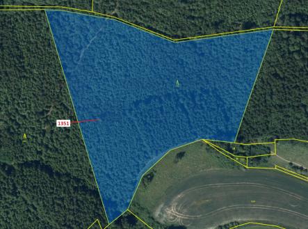 Prodej - pozemek, les, 22 508 m²