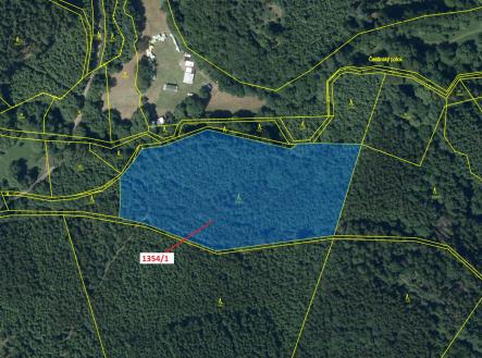 Prodej - pozemek, les, 13 976 m²