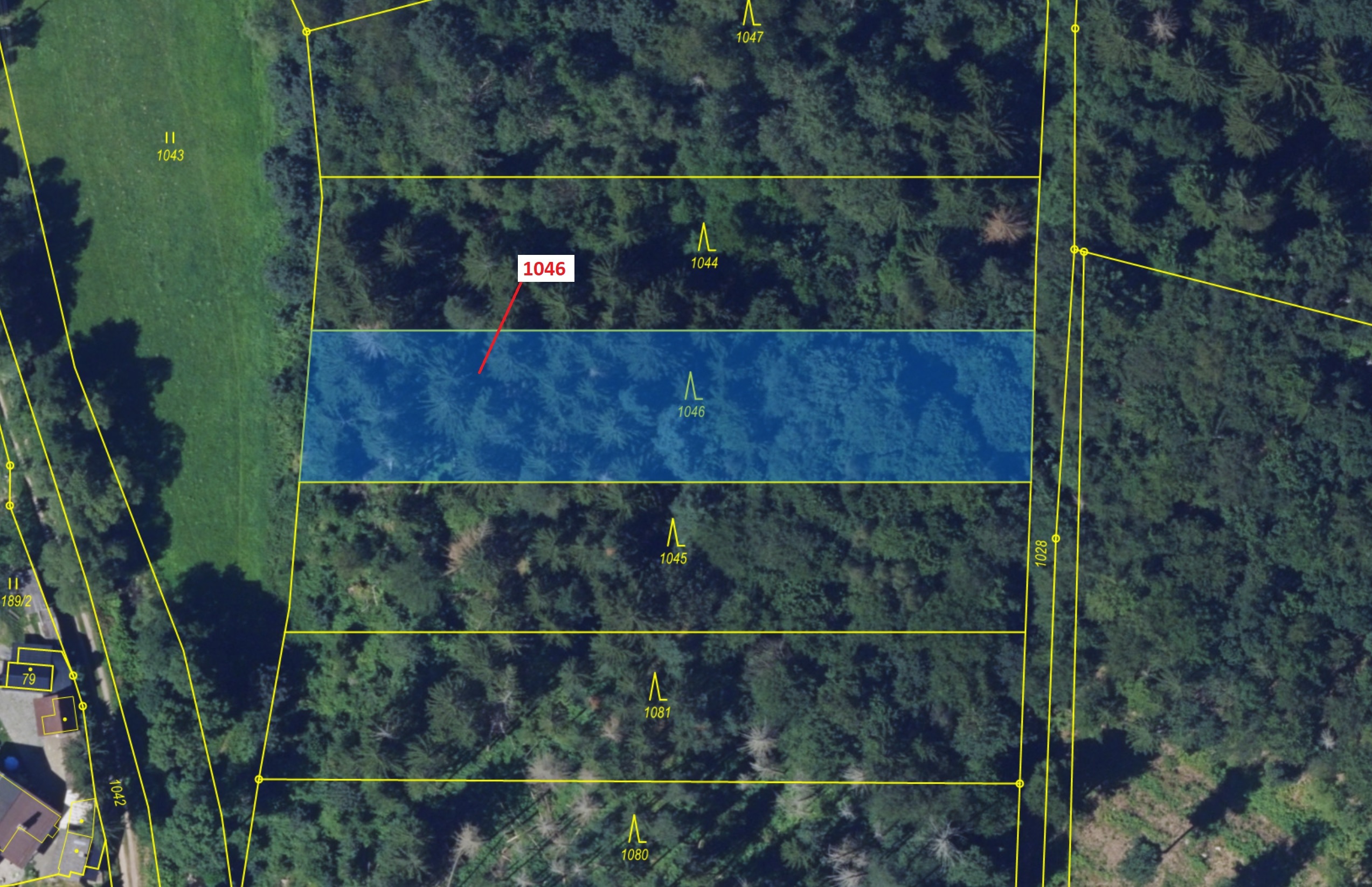 Lesní pozemek o výměře 2432 m2, podíl 1/1, katastrální území Hrdá Ves, obec Vír, obec s rozšířenou p