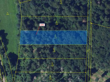 Prodej - pozemek, les, 2 432 m²