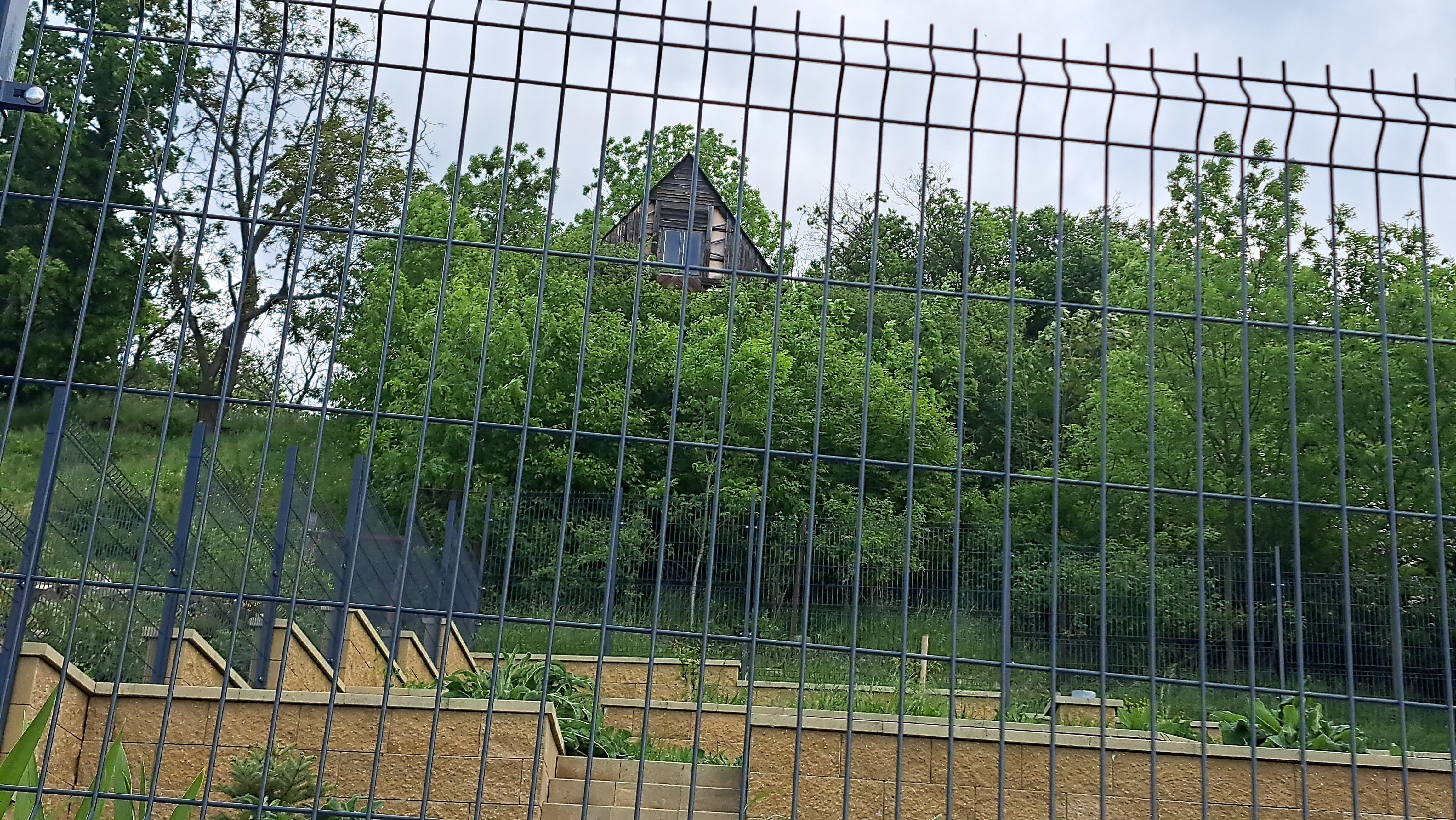 ideální podíl 1/2 stavby - rod. rekreace v k.ú. Velké Žernoseky, okres Litoměřice, opakovaná dražba