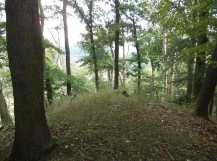 Prodej - pozemek, trvalý travní porost, 14 517 m²