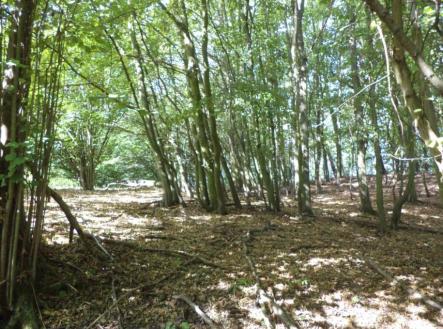 Prodej - pozemek, trvalý travní porost, 14 517 m²