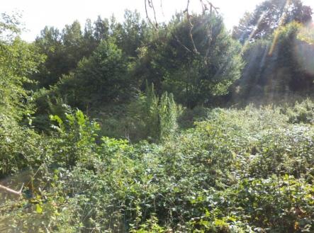 Prodej - pozemek, trvalý travní porost, 14 517 m²