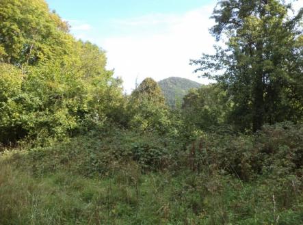 Prodej - pozemek, trvalý travní porost, 14 517 m²