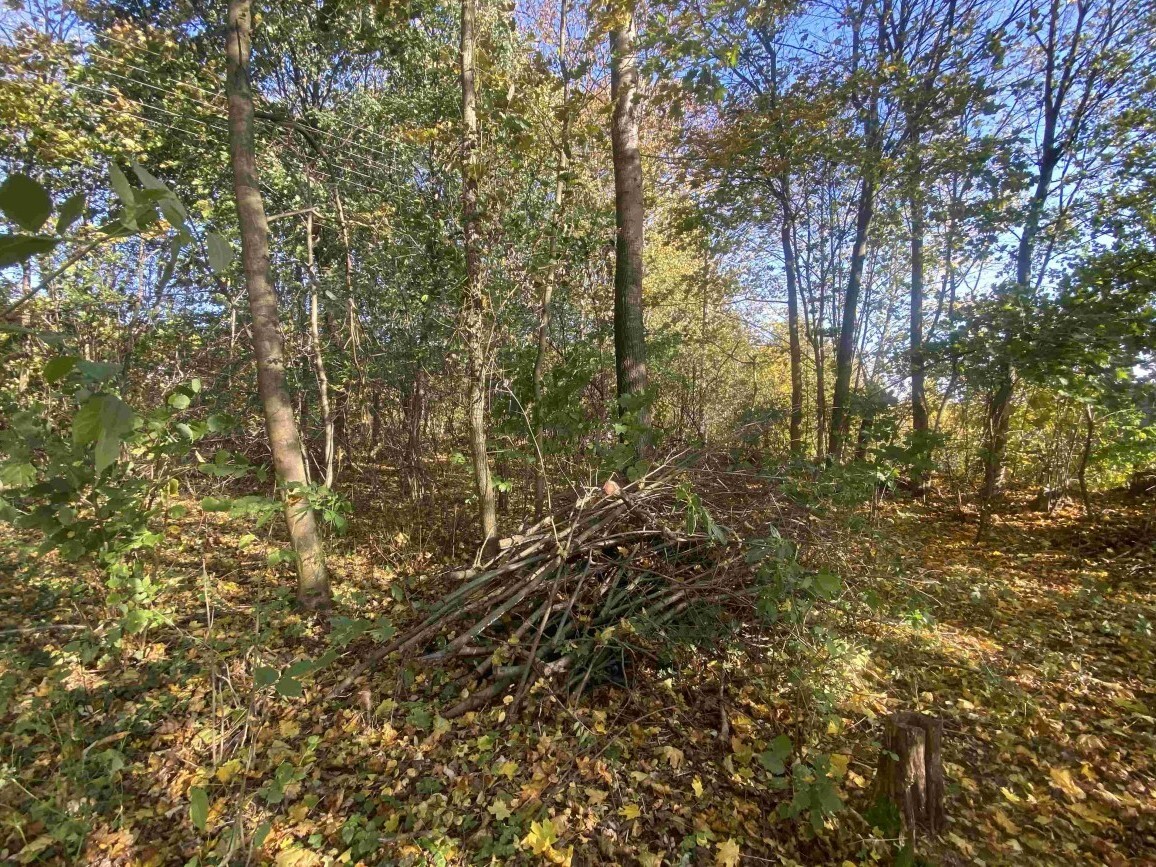 Stavební pozemek o velikosti 1043m2, Zdislava