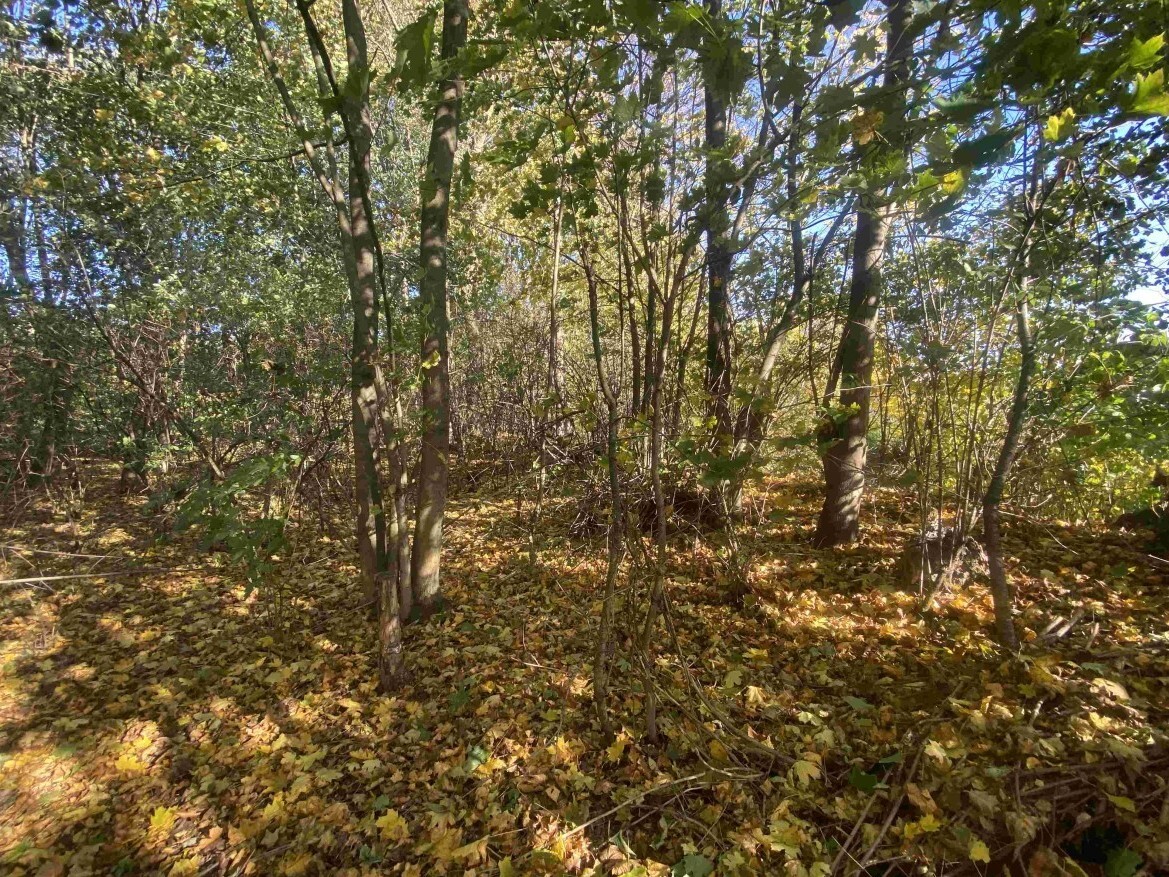 Stavební pozemek o velikosti 1043m2, Zdislava