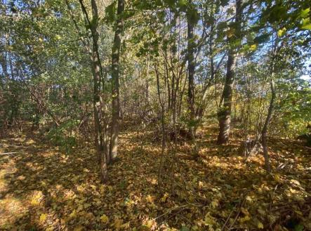 Prodej - pozemek pro bydlení, 1 043 m²