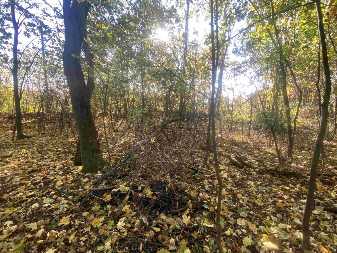 Stavební pozemek o velikosti 1043m2, Zdislava