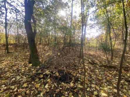 Prodej - pozemek pro bydlení, 1 043 m²