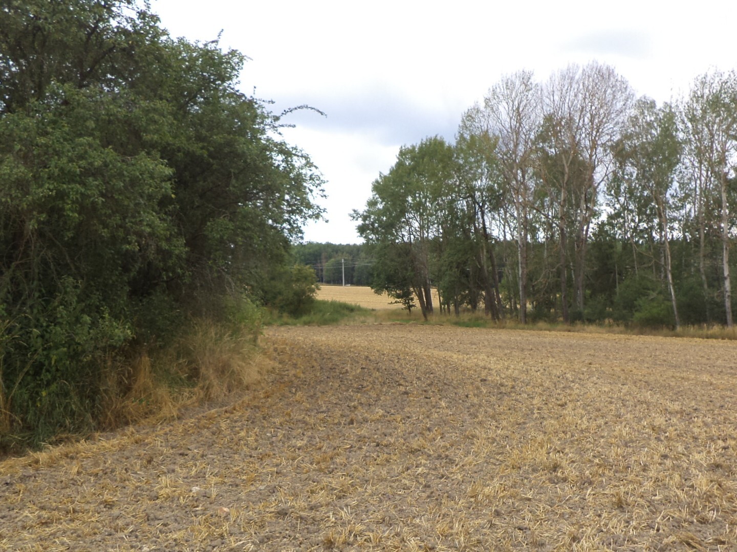 Stavební pozemek o velikosti 1100m2, Vlkýš