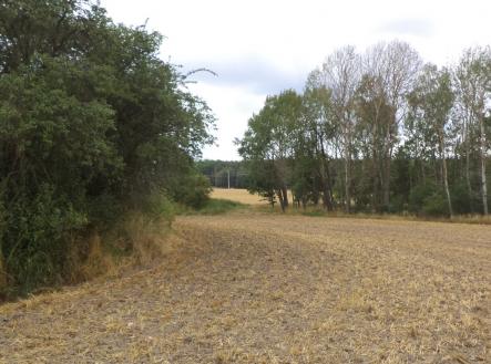 Prodej - pozemek pro bydlení, 1 100 m²