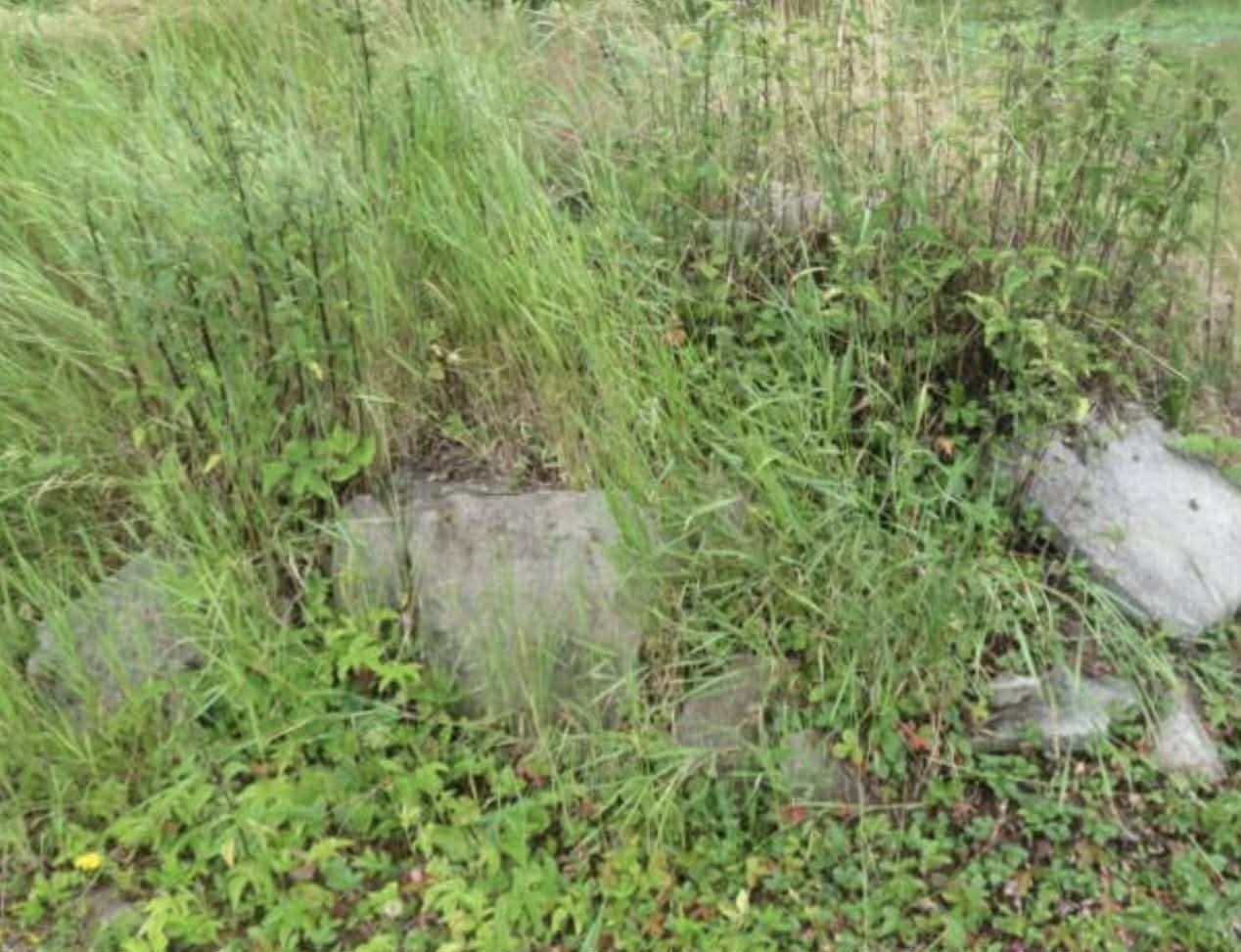 Pozemky o velikosti 3388m2, Velké Karlovice