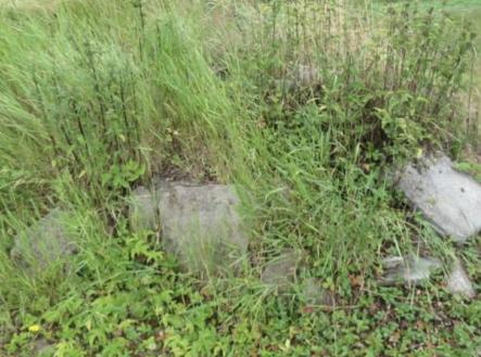 Prodej - pozemek, ostatní, 3 388 m²