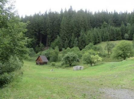 Prodej - pozemek, trvalý travní porost, 24 946 m²