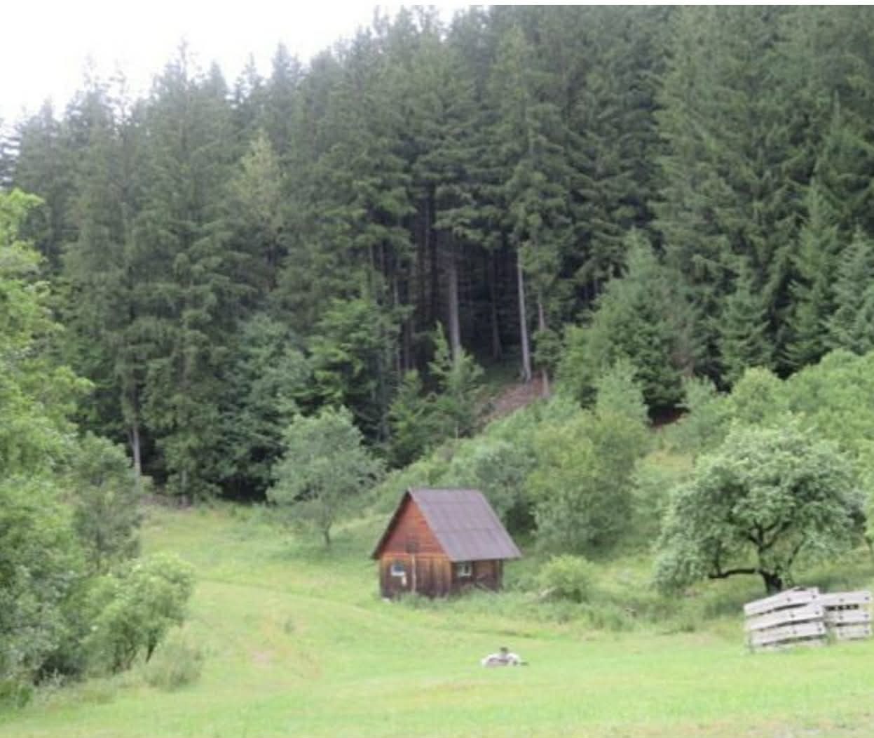 Pozemky o velikosti 24946m2, Velké Karlovice
