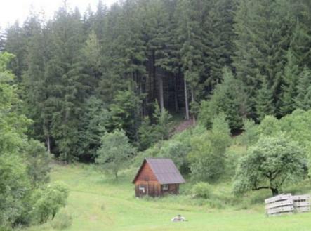 Prodej - pozemek, trvalý travní porost, 24 946 m²