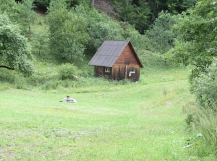 Prodej - pozemek, trvalý travní porost, 24 946 m²