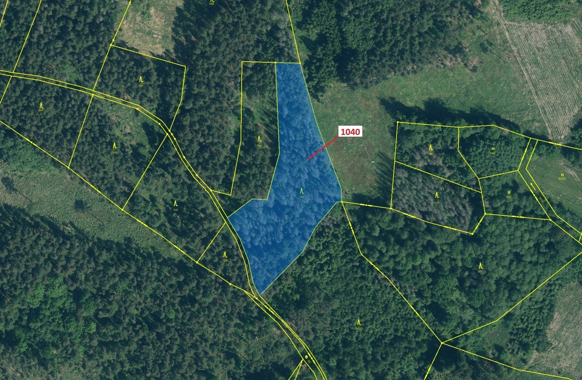 Lesní pozemek o výměře 6 519 m2, podíl 1/1, katastrální území Bezděkov u Kasejovic, obec Hradiště, o