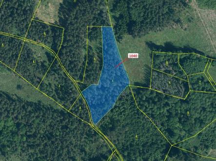 Prodej - pozemek, les, 6 519 m²