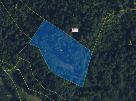 Prodej - pozemek, les, 4 308 m²