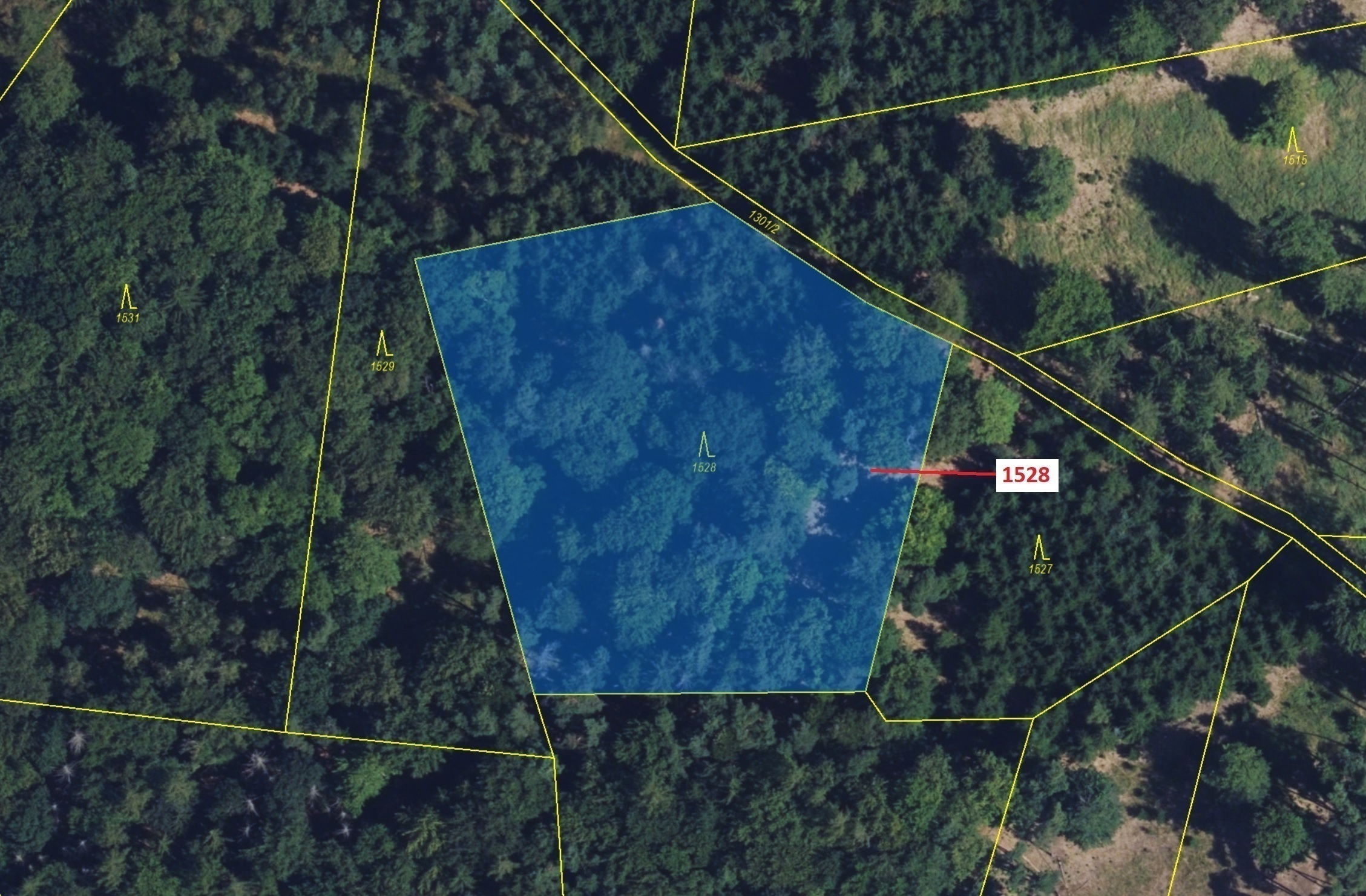 Lesní pozemek o výměře 5 323 m2, podíl 1/1, katastrální území Vranová, obec Vranová Lhota, obec s ro