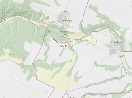 Prodej - pozemek, les, 741 m²