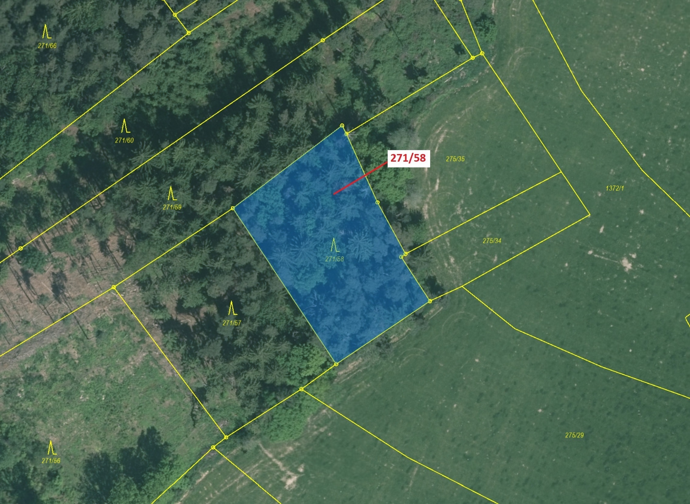 Lesní pozemek o výměře 2102 m2, podíl 1/1, katastrální území Milavče, obec Milavče, obec s rozšířeno