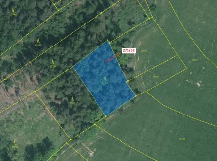 Prodej - pozemek, les, 2 102 m²