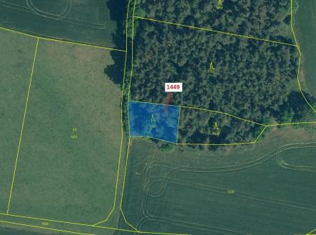 Prodej - pozemek, les, 638 m²