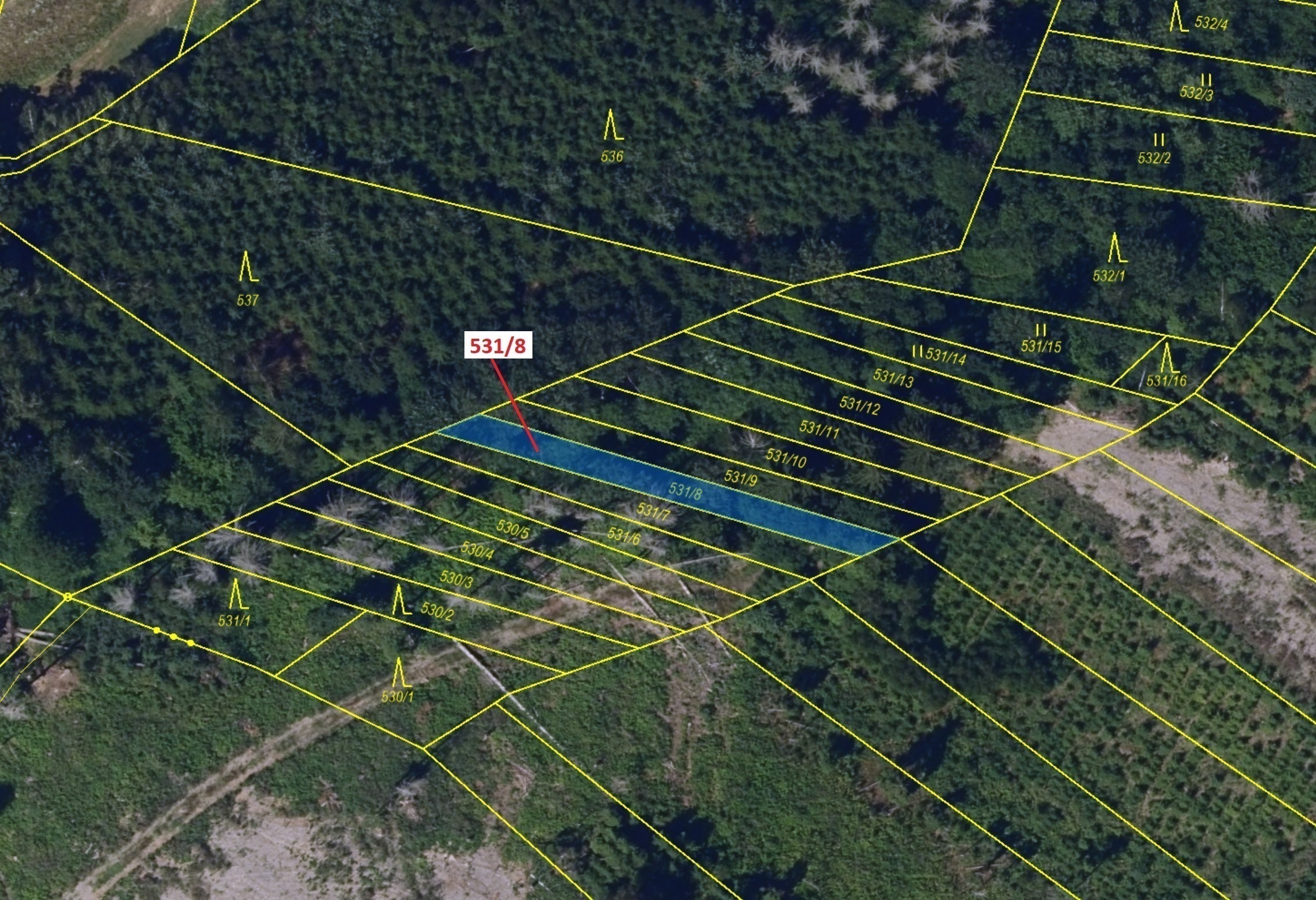 Lesní pozemek o výměře 212 m2, podíl 1/1, katastrální území Mírovka, obec Havlíčkův Brod, obec s roz