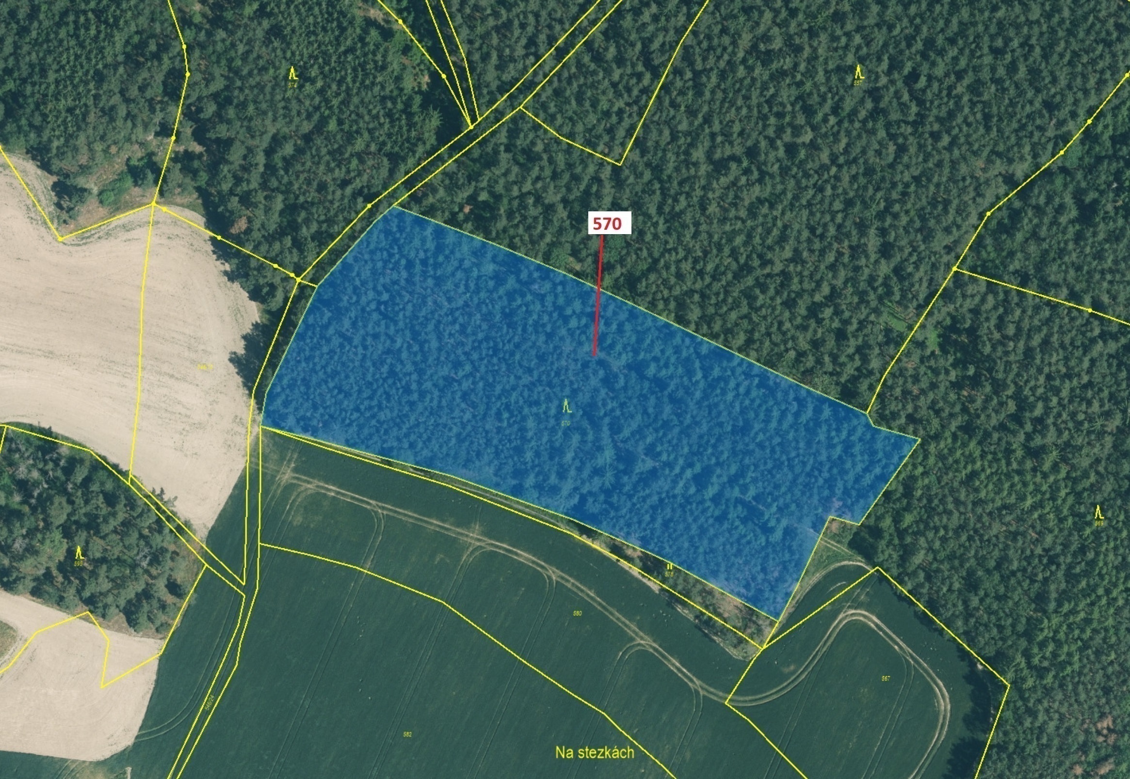 Lesní pozemek o výměře 14 260 m2, podíl 1/1, katastrální území Česká Doubravice, obec Manětín, obec 