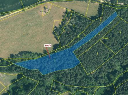 Prodej - pozemek, les, 8 273 m²