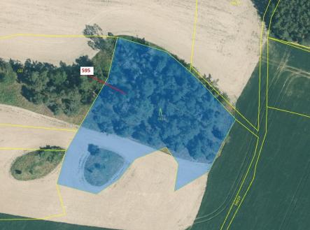 Prodej - pozemek, les, 4 801 m²