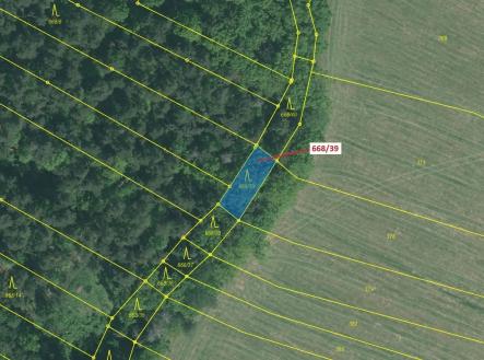 Prodej - pozemek, les, 222 m²