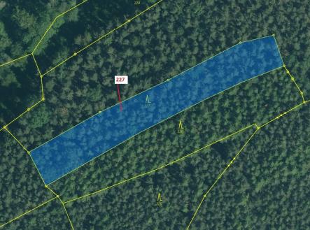 Prodej - pozemek, les, 2 913 m²